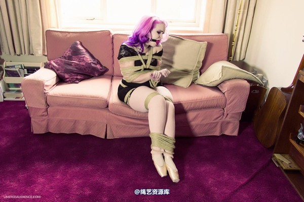 limitedaudience - 2013 assisted suicide interrupted ballet practice 3 第 23 张图片