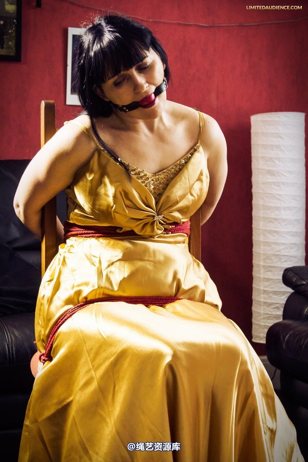 limitedaudience - 2013 dynamo golden satin 2 第 2 张图片
