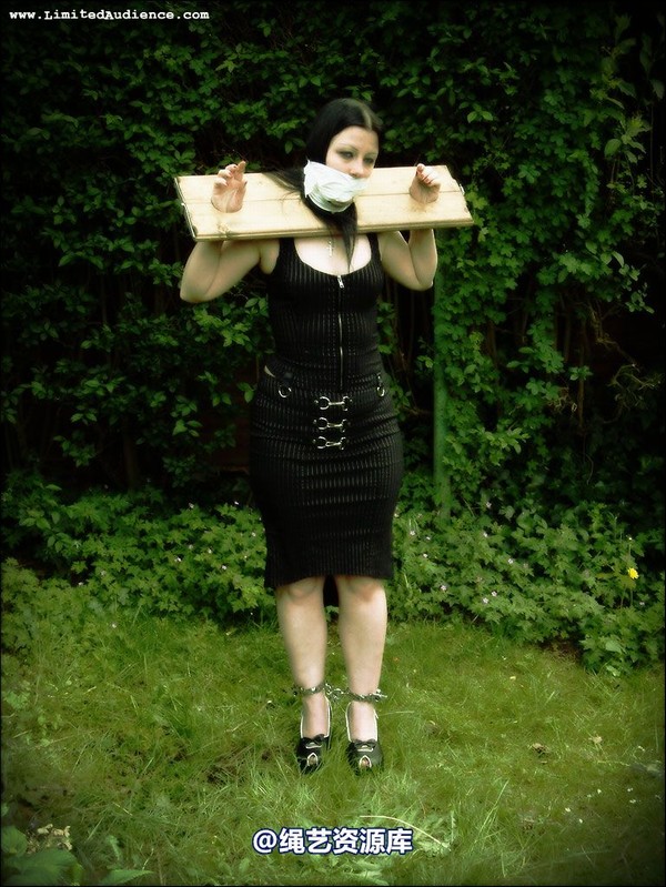 limitedaudience - 2007 asphyxia silenced secretary 第 5 张图片