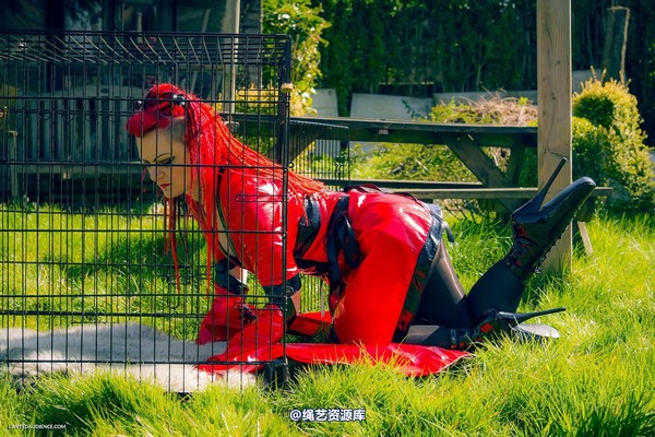 limitedaudience - 2015 raevan into the cage 第 23 张图片