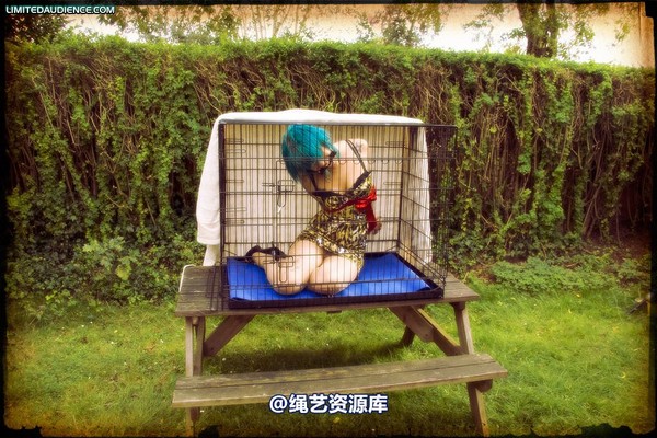 limitedaudience - 2009 b caged animal 第 25 张图片