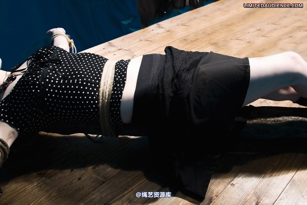 limitedaudience - 2011 luisa helpless to resist 2 第 7 张图片