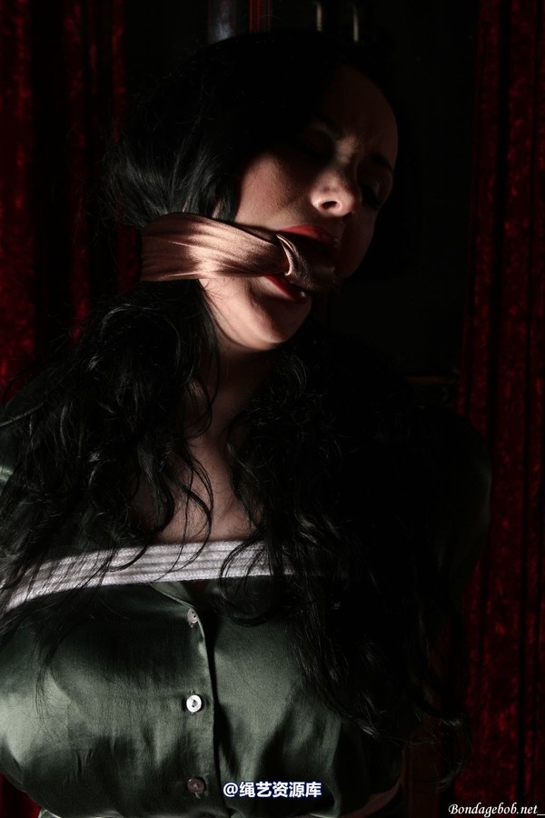 bondagebob - Morrigan Pole tied 第 56 张图片