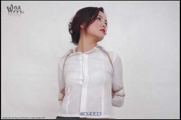 唯美之家 - 2008-11-3青竹无花 第 84 张图片