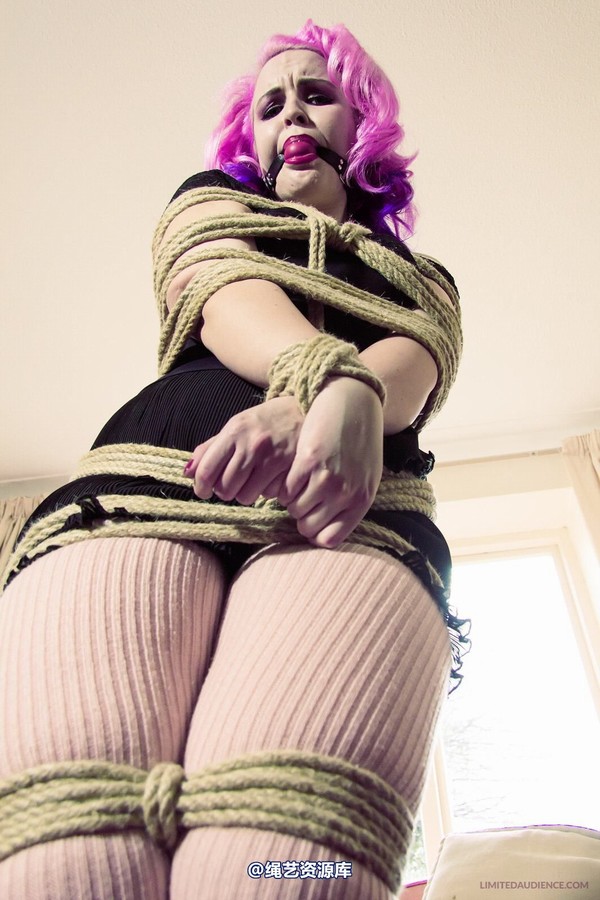limitedaudience - 2013 assisted suicide interrupted ballet practice 2 第 27 张图片