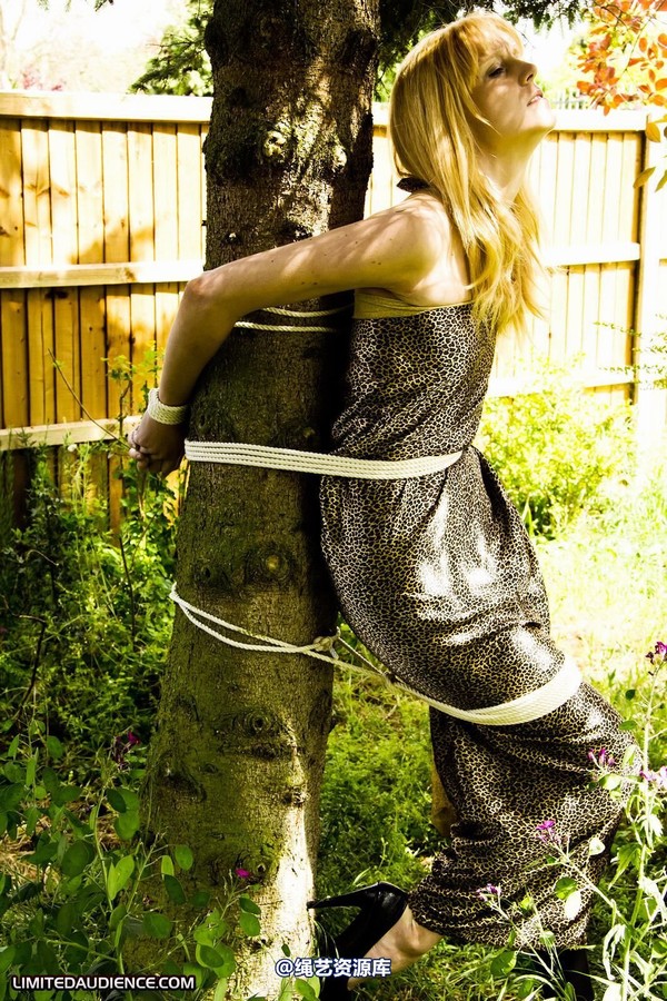 limitedaudience - 2011 ariel tied to a tree 2 第 22 张图片