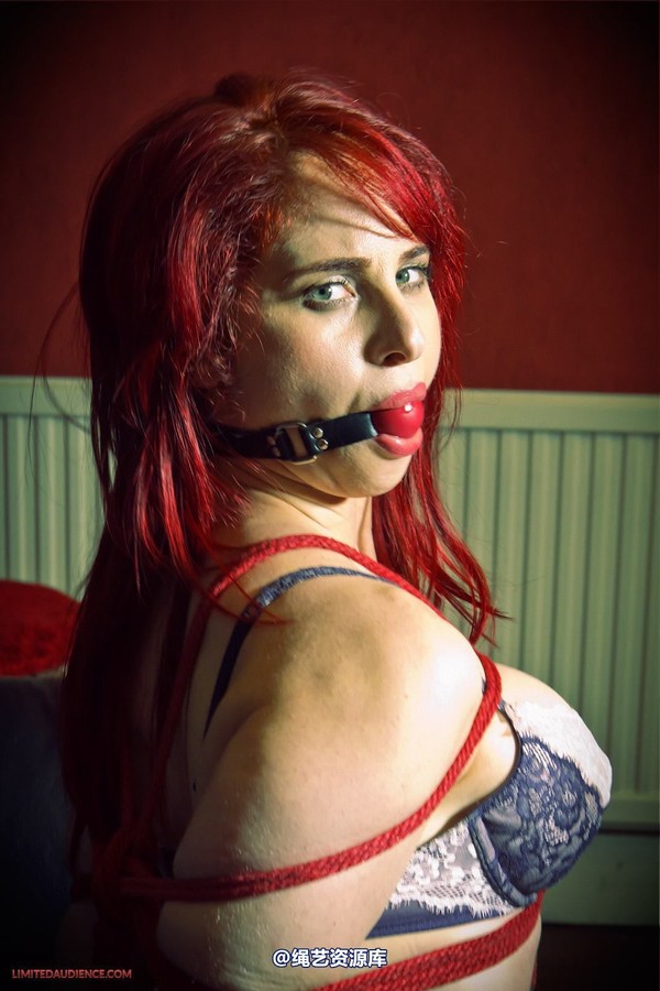 limitedaudience - 2013 andrea rosu tied on the couch 2 第 38 张图片