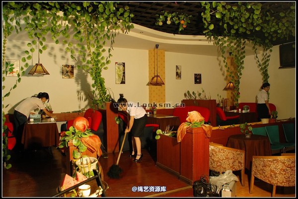 千丝万缕 - 2008-06-16日照片 第 1 张图片