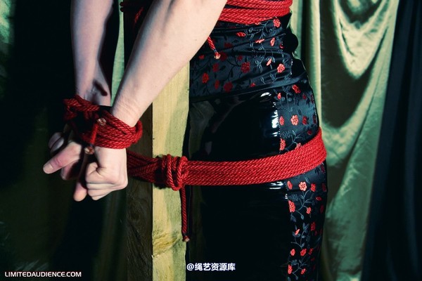 limitedaudience - 2010 raevan postbound 2 第 19 张图片