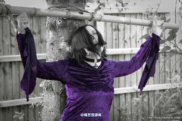 limitedaudience - 2010 carmina unwilling offering 第 14 张图片