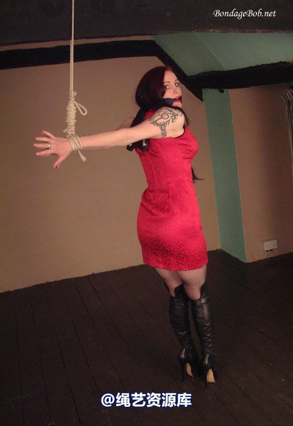 bondagebob - Morrigan Higher! 第 8 张图片