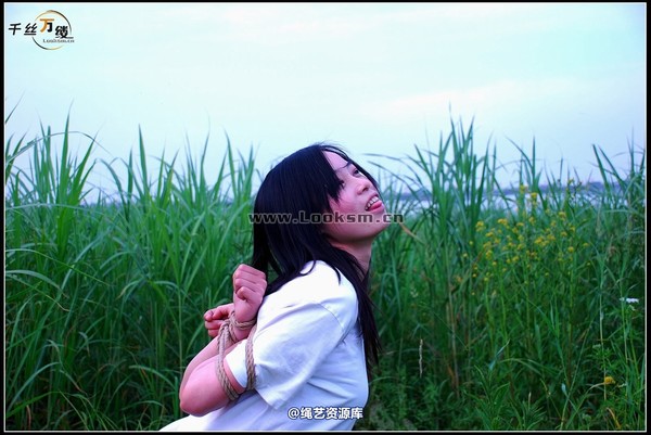 千丝万缕 - 2008-04-29-4日 第 86 张图片