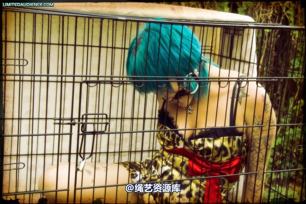 limitedaudience - 2009 b caged animal 第 6 张图片