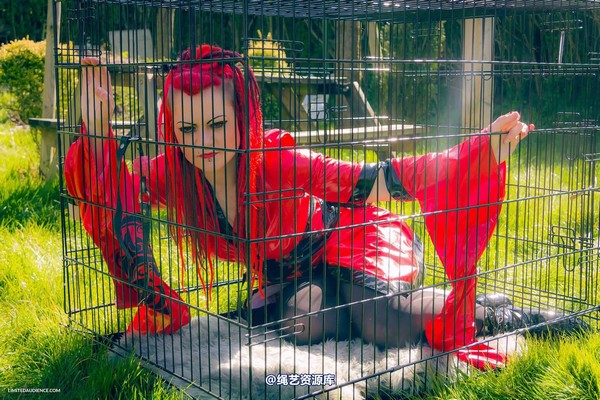 limitedaudience - 2015 raevan into the cage 第 16 张图片