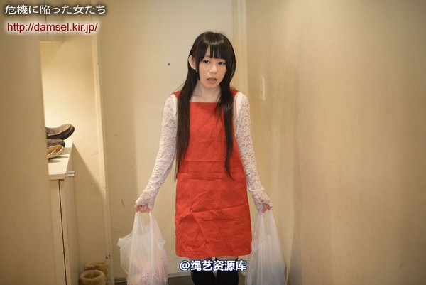 jpdamsel - 20140501 家政�Dのまりえ 第 3 张图片