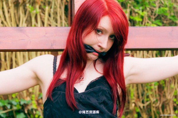 limitedaudience - 2014 syrah lee experiencing the cross 2 第 20 张图片
