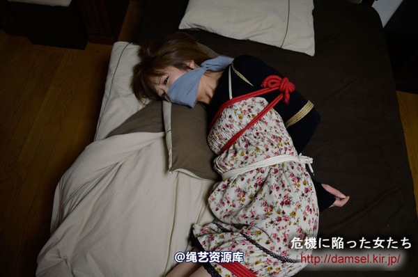 jpdamsel - 20111201 抱き枕 第 28 张图片