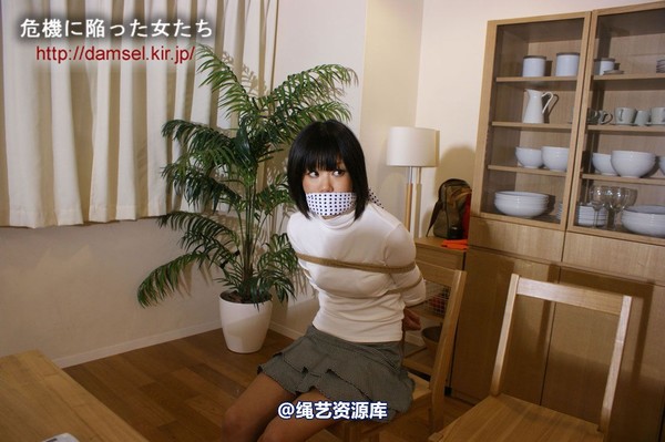 jpdamsel - 20120115 もし泥棒に�uわれたら 第 3 张图片