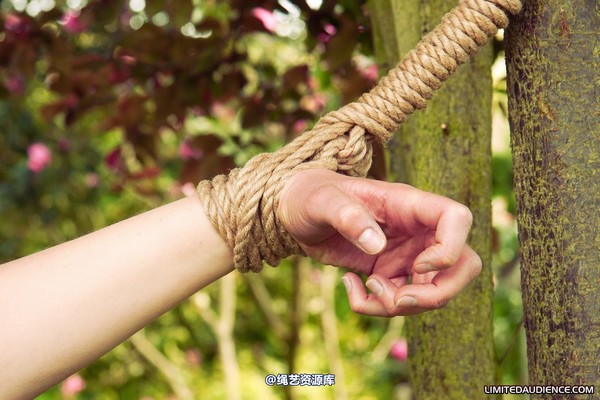 limitedaudience - 2011 beckykat between trees 2 第 9 张图片