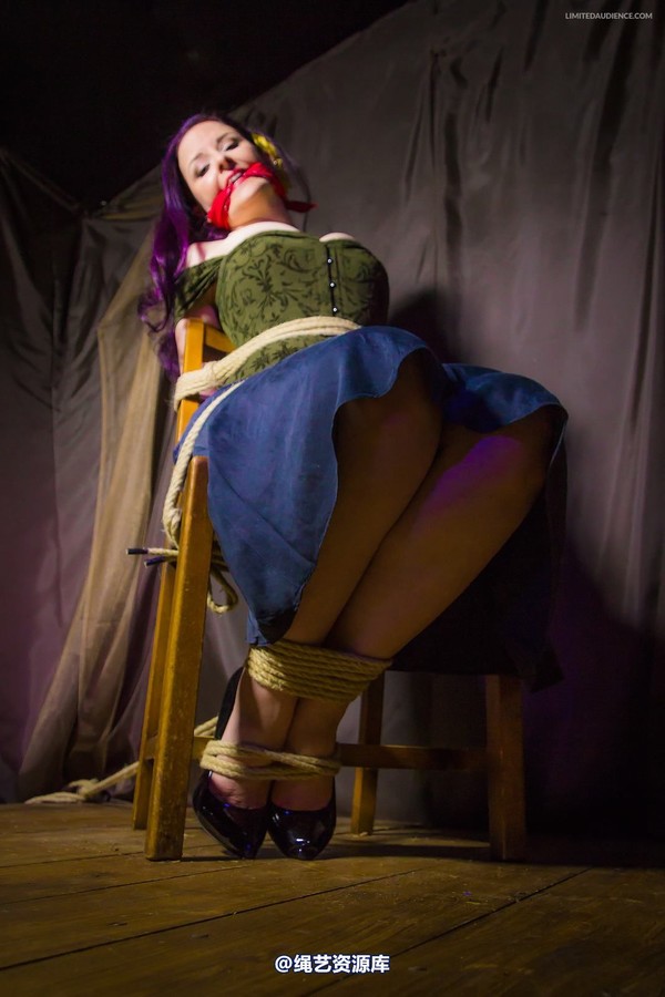 limitedaudience - 2014 caroline pierce captured damsel 第 21 张图片