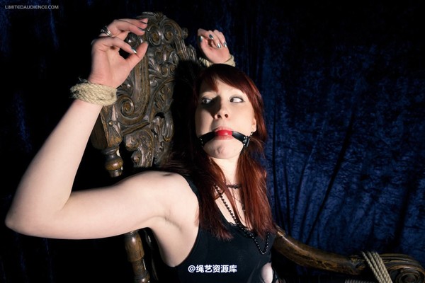 limitedaudience - 2012 syrah lee defiant captive 第 27 张图片