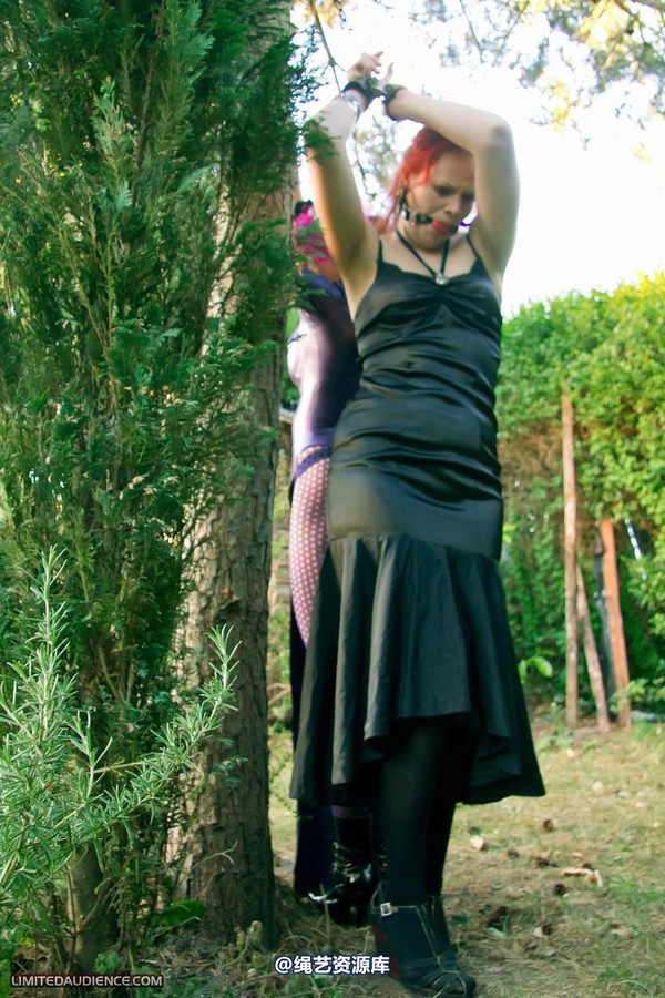 limitedaudience - 2011 beckykat loltaru chained tree seesaw 第 3 张图片