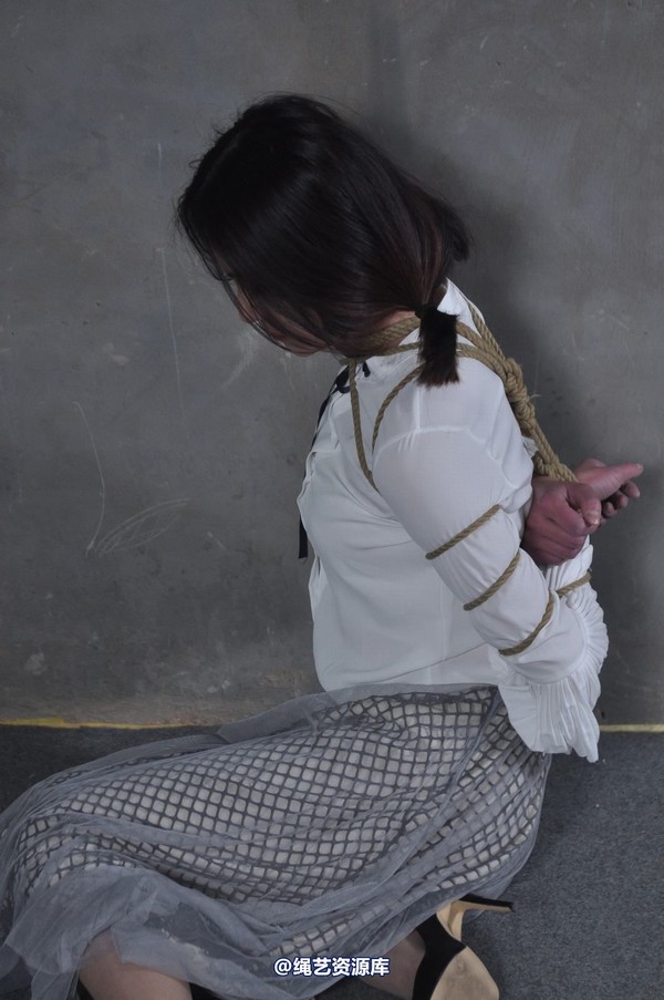 mj影视 - 淑女被抓 第 344 张图片