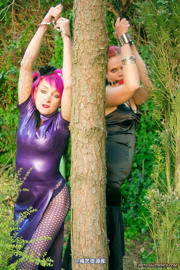limitedaudience - 2011 beckykat loltaru chained tree seesaw 第 10 张图片