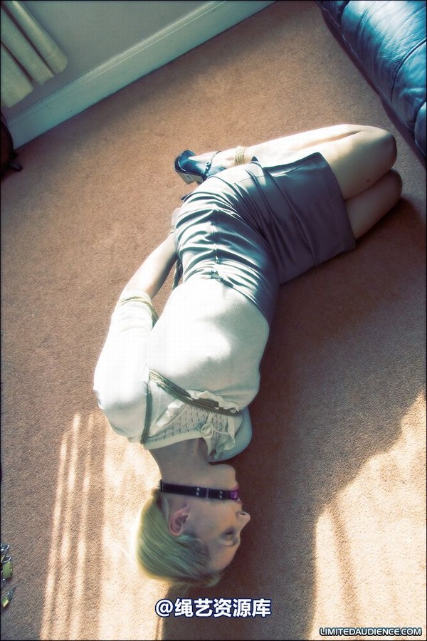 limitedaudience - 2008 ariel hogtied secretary 第 5 张图片
