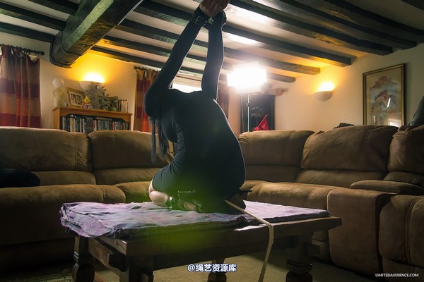 limitedaudience - 2013 nyxon living bondage furniture 第 24 张图片