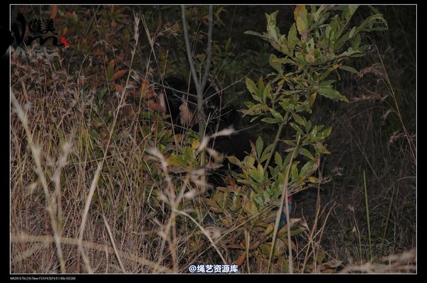 唯美之家 - 2008-11-27萧雅 第 196 张图片