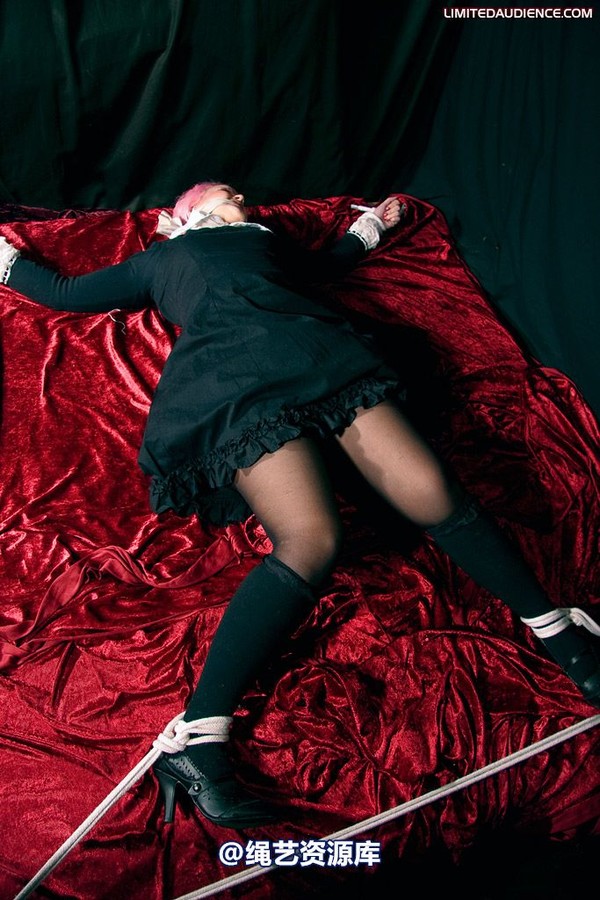 limitedaudience - 2009 assisted suicide internet date 第 32 张图片