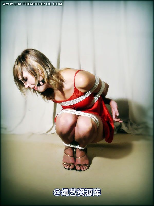 limitedaudience - 2007 ariel gradual restraints 第 49 张图片
