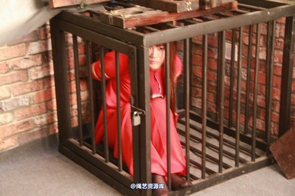胜景山庄 - 023-铁笼囚禁 第 15 张图片