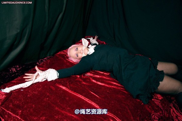 limitedaudience - 2009 assisted suicide internet date 第 13 张图片