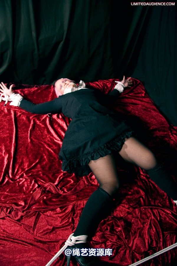 limitedaudience - 2009 assisted suicide internet date 第 31 张图片