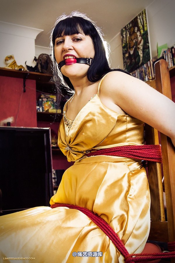 limitedaudience - 2013 dynamo golden satin 第 8 张图片