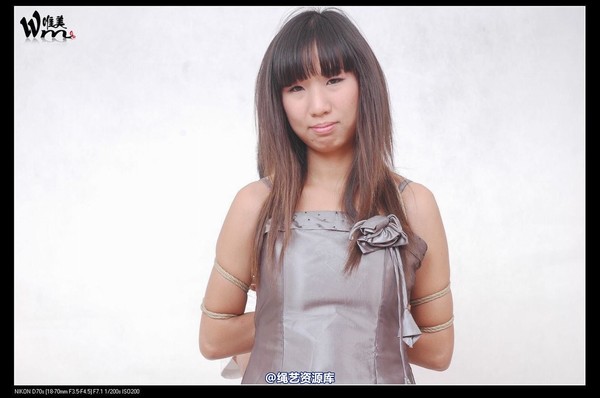 唯美之家 - 2008-10-10绣绣晚礼服 第 12 张图片