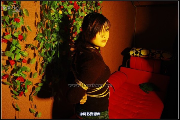千丝万缕 - 2007-11-17日照片 第 21 张图片