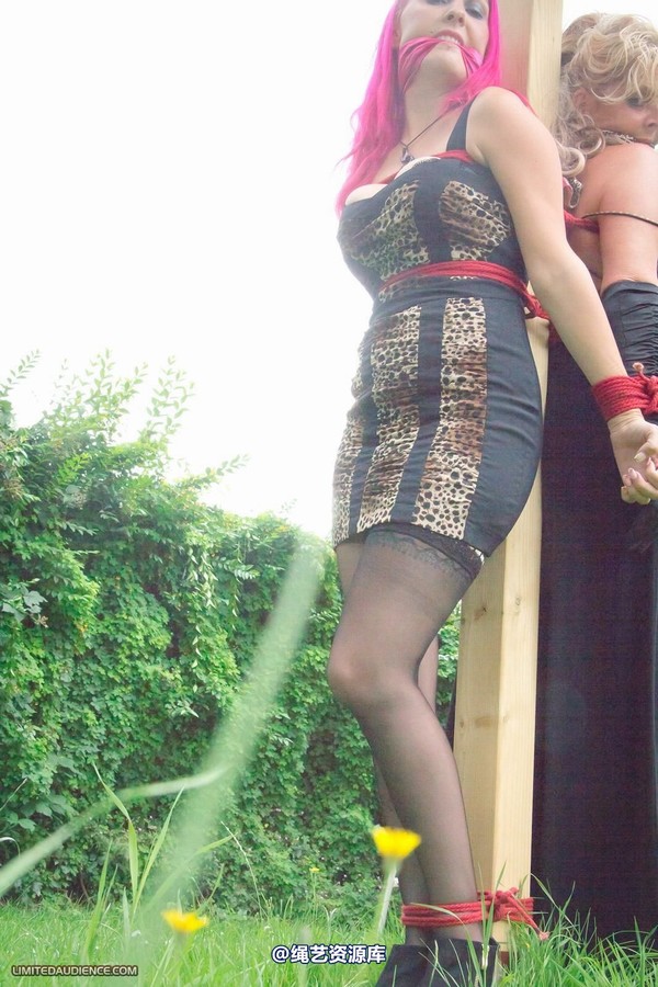 limitedaudience - 2012 elyssia lexy poletied 2 第 31 张图片