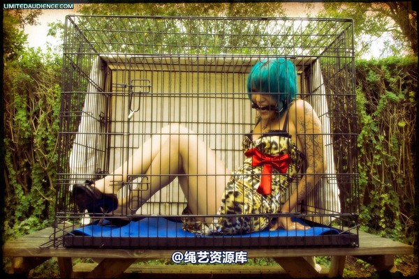 limitedaudience - 2009 b caged animal 第 47 张图片
