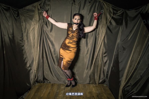 limitedaudience - 2014 caroline pierce bondage in bronze 第 28 张图片