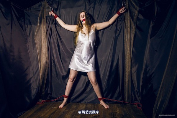 limitedaudience - 2015 alais peach spread in satin 第 4 张图片