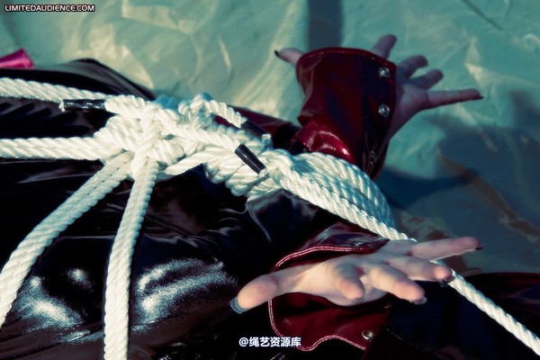 limitedaudience - 2010 jenvy hogtied 第 4 张图片