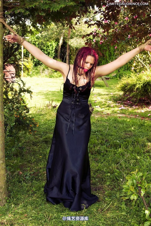 limitedaudience - 2011 beckykat between trees 2 第 24 张图片