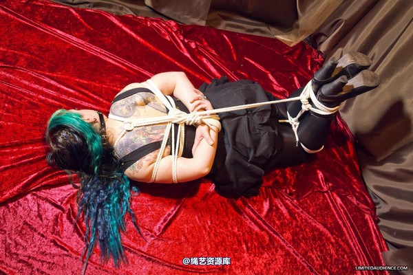 limitedaudience - 2012 raevan hogtied 2 第 21 张图片