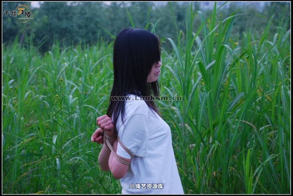 千丝万缕 - 2008-04-29-4日 第 5 张图片