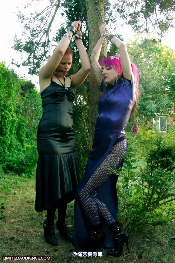 limitedaudience - 2011 beckykat loltaru chained tree seesaw 2 第 9 张图片