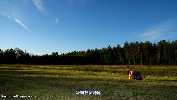 restrainedelegance - Meadow Bound 第 20 张图片