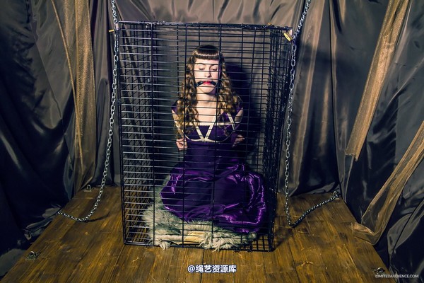 limitedaudience - 2014 fay inside the cage 第 9 张图片